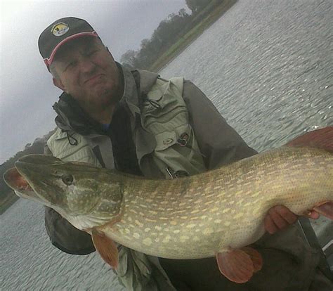 40 Lb Pike On A Fly Anglers Mail