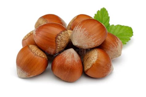 Group Of Hazelnuts With Green Leaves Isolated Stock Image Image Of