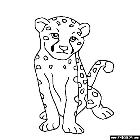 Baby Cheetah Coloring Page Coloring Home