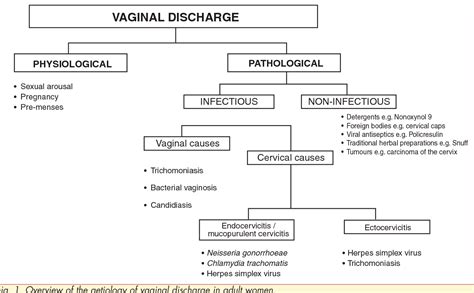 Figure 1 From Management Of Vaginal Discharge Semantic Scholar