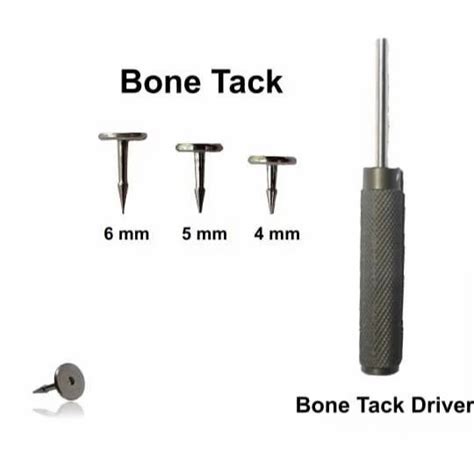 Dental Bone Tack Tenting Screw Titanium Pins Gbr At Rs 349piece Gbr