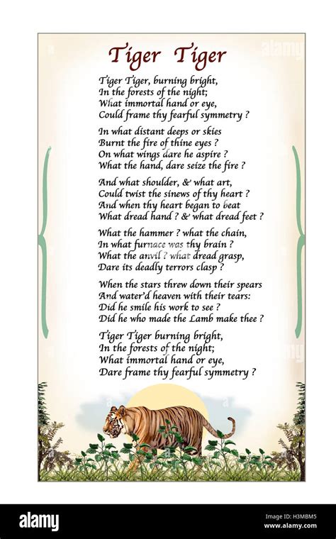 Tiger Tiger Poem By William Blake Modern Illustration Based On Original Blake Design Stock