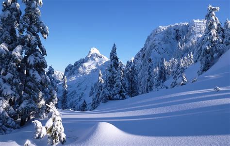 Wallpaper Winter Snow Trees Mountains Ate Canada The Snow