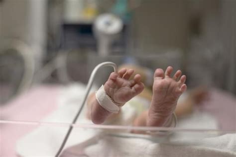 Preemies Neonatal Nurse Newborn Nursing Neonatal