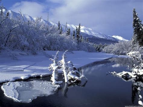 Free Download Alaska River Winter Mountain Forest Landscape Wallpaper