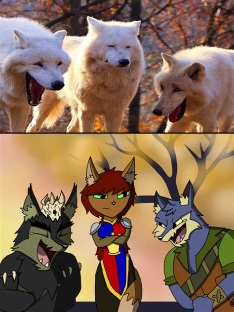 Laughing Wolf Meme And Laughing Lupes By Foxy21a72 On Deviantart