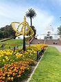 Complete Guide of Things to do in Golden Gate Park (All My Favorite Spots!)