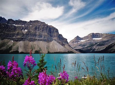 Bow Lake Banff National Park Alberta Canada Photograph By Tom And Geri Gasiorowski