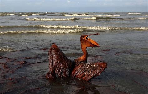 Latest War Tactic Oil Spills Civic Issues In The Environment
