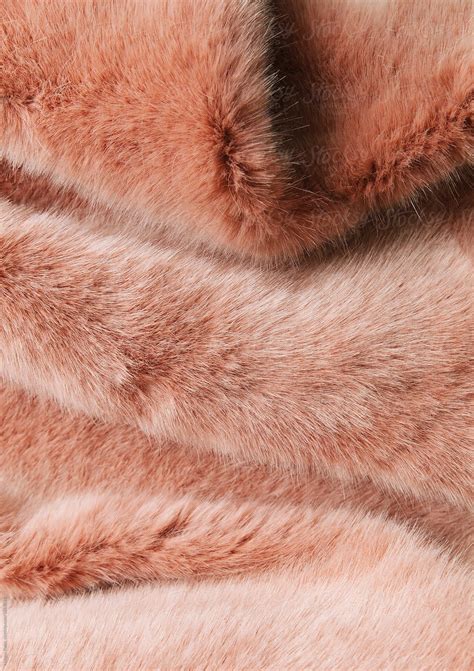Faux Fur Texture Del Colaborador De Stocksy Natasa Kukic Stocksy