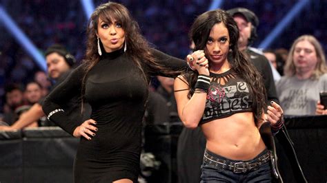 Aj Lee And Layla Pro Wrestling Wiki Divas Knockouts Results Match Histories Titles And More