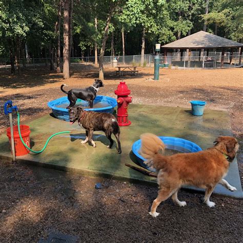 Raleigh Dog Parks What To Look Out For On Your Next Trip