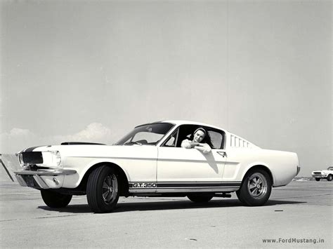 Shelby Gt 350hpicture 1 Reviews News Specs Buy Car