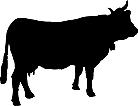 Cattle Cow Cowbell Free Vector Graphic On Pixabay