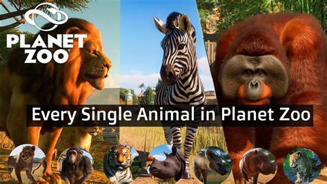 Every Single Animal In Planet Zoo Youtube