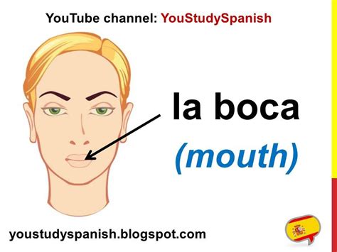 Spanish Lesson 22 Parts Of The Face In Spanish Vocabulary Body Parts