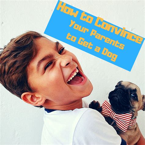 How To Convince Your Parents To Get A Dog Wehavekids