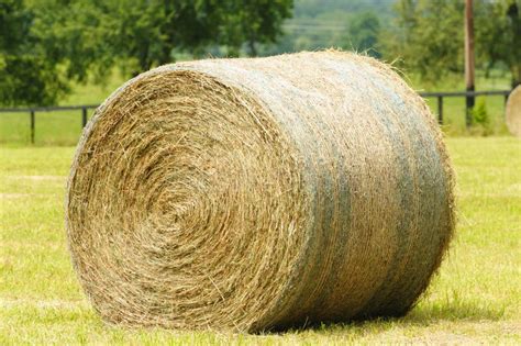 Hay Bale Stock Image Image Of Bale Grass Field Farm 96323013