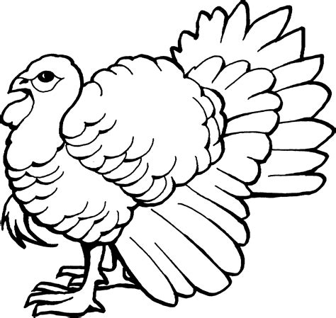 Use the download button to view the full image of wild turkey coloring pages free, and download it for a computer. The Big Wild Turkey Coloring Pages | Bird coloring pages ...