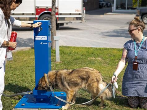 City Of Regina Shows Off First Of Three Seasonal Water Fountains