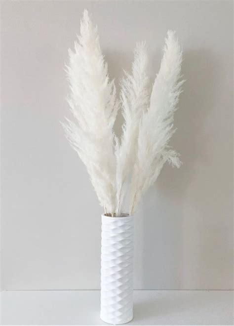 Tall Pampas Grass 4ft Grand Sale Dry Floral For Home Decor Etsy