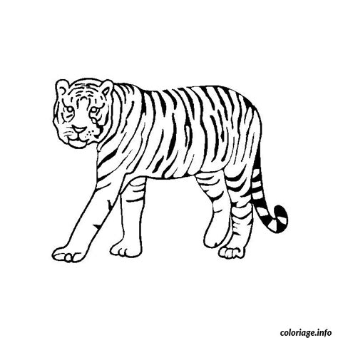 Coloriage Animaux Tigre