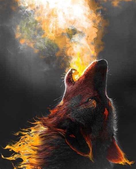 Love This The Combination Of Wolf And Fire Even A Wolf Can Be Firey So