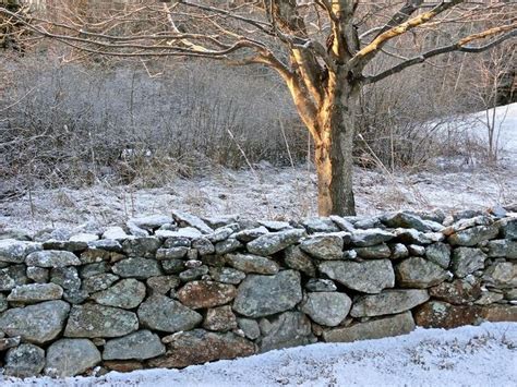 New England Stonewall By Kennebunker Photo Weather Stone Wall