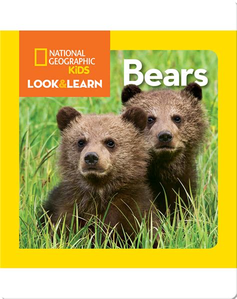National Geographic Kids Look And Learn Bears Childrens Book By