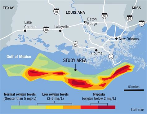The Low Oxygen Gulf Dead Zone Could Be Three Times The Size Of Rhode