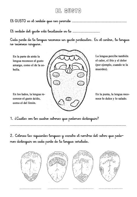 Recursos Y Actividades Para Educación Infantil Actividades Sobre Los