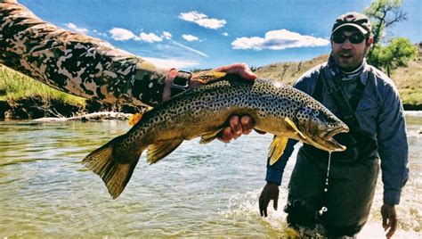 Fly Fishing In Park City Utah Park City Fly Fishing Guides