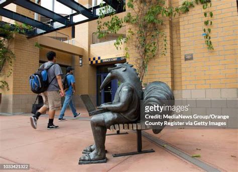 Uci Anteater Photos And Premium High Res Pictures Getty Images