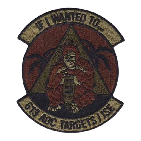 613 Aoc Targets Ocp Patch 613th Air And Space Operations Center Patches