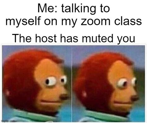 Zoom Memes And S Imgflip