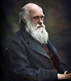 Más allá de la Teoría de la Evolución, ¿Quién fue Charles Darwin ...