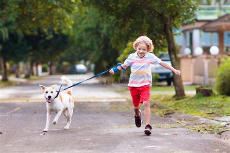 Child Walking Dog Kids And Puppy Boy And Pet Stock Image Image Of