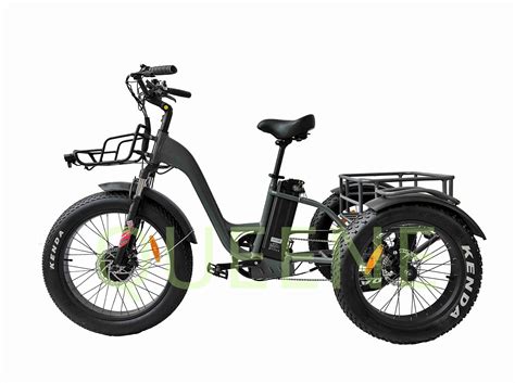 Queenequeene24 Inch Electric Trike Fat Tire 3 Wheel Electric Tricycle