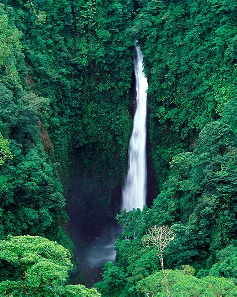 Cascadas Increíbles En La Naturaleza De Costa Rica Foto 1