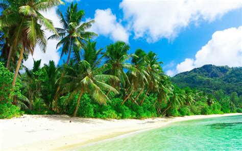 Nature Landscape Beach Sea Sand Palm Trees Clouds Hill Tropical Holiday