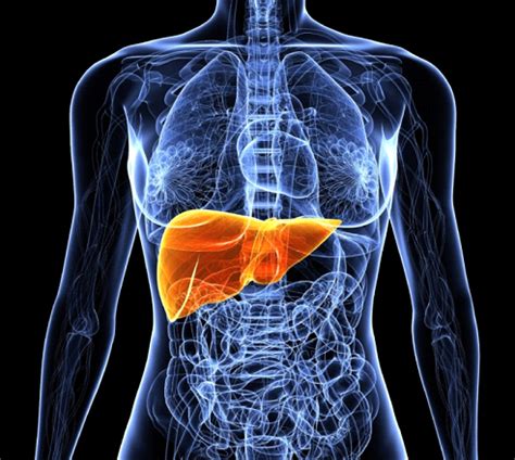 The liver structure becomes abnormal and interferes with liver blood. Cirrhosis Symptoms, Causes, Diagnosis and Treatment ...