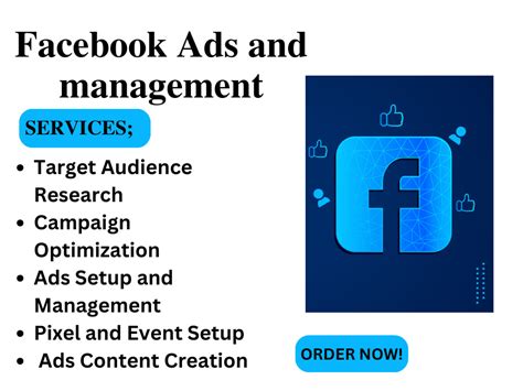 Successful Facebook Ads Campaign Setup Fb Ads Management Upwork