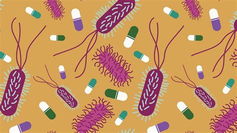 Understanding Antibiotics And Their Role In Killing Bacteria