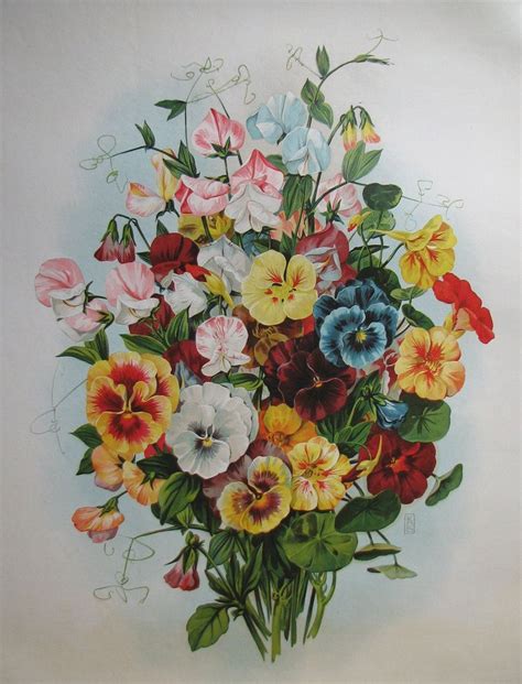 1900 Antique Victorian Pansy Flower Parlor Print Vintage Poster Art