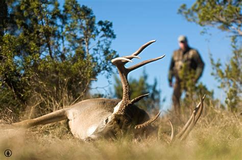 How To Skin A Deer Step By Step Guide Hunting Lot