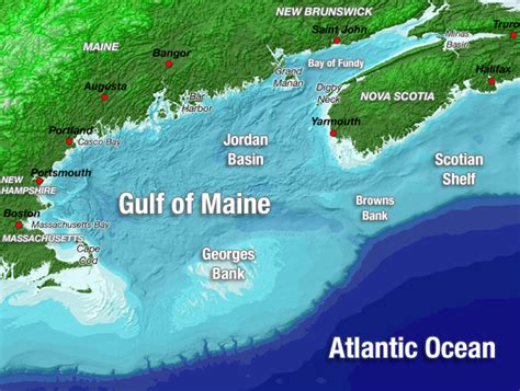 New Fishing Rights In Gulf Of Maine Upheld By Judge