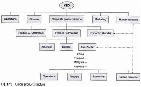 Structure Of Global Organization