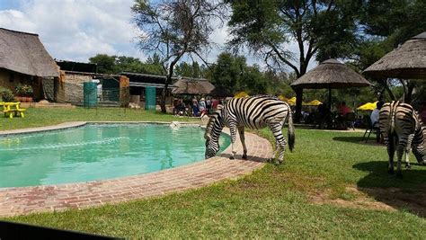 Heia Safari Ranch Reviews And Photos Muldersdrift South Africa