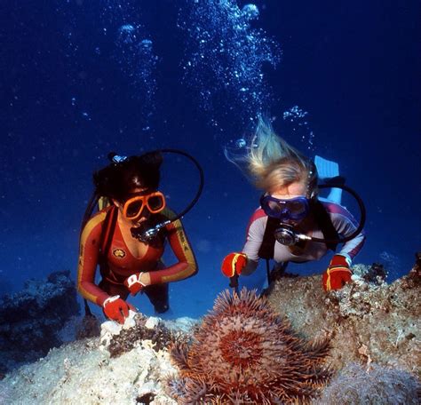 Dive Skin Girls Scuba Girl Diving Scuba Diving