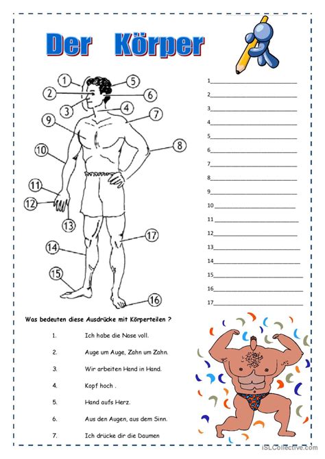 der Körper Deutsch DAF Arbeitsblätter pdf doc